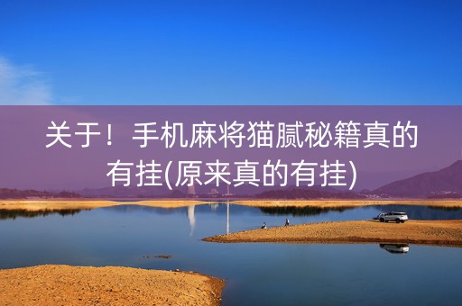 关于！手机麻将猫腻秘籍真的有挂(原来真的有挂)