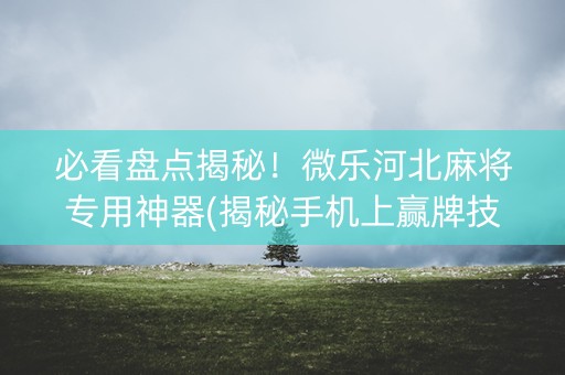 必看盘点揭秘！微乐河北麻将专用神器(揭秘手机上赢牌技巧)