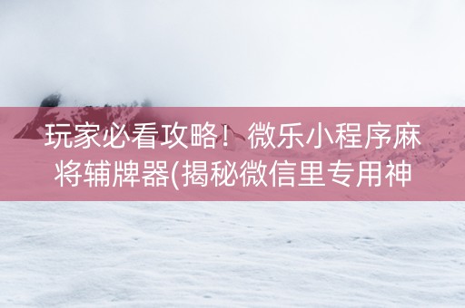玩家必看攻略！微乐小程序麻将辅牌器(揭秘微信里专用神器)