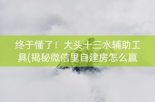 终于懂了！大头十三水辅助工具(揭秘微信里自建房怎么赢)