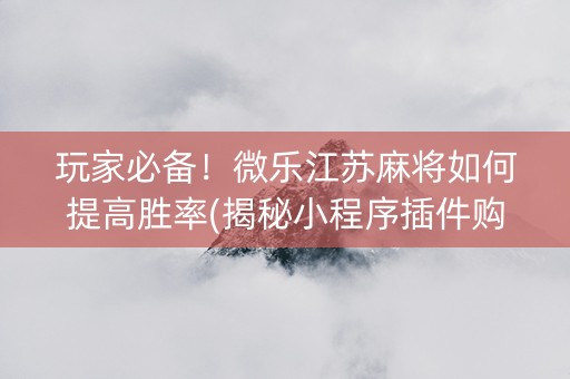 玩家必备！微乐江苏麻将如何提高胜率(揭秘小程序插件购买)