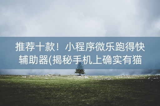推荐十款！小程序微乐跑得快辅助器(揭秘手机上确实有猫腻)
