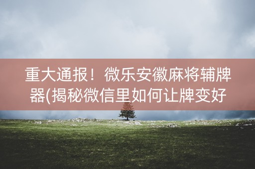 重大通报！微乐安徽麻将辅牌器(揭秘微信里如何让牌变好)