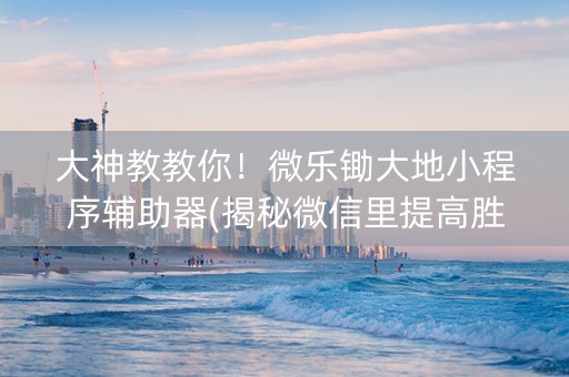 大神教教你！微乐锄大地小程序辅助器(揭秘微信里提高胜率)