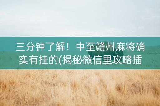 三分钟了解！中至赣州麻将确实有挂的(揭秘微信里攻略插件)