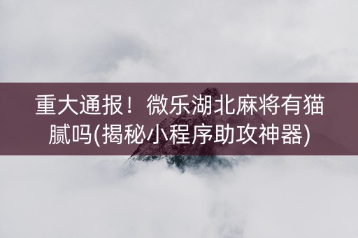 重大通报！微乐湖北麻将有猫腻吗(揭秘小程序助攻神器)