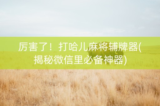 厉害了！打哈儿麻将辅牌器(揭秘微信里必备神器)
