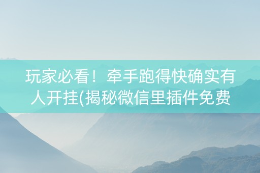 玩家必看！牵手跑得快确实有人开挂(揭秘微信里插件免费)