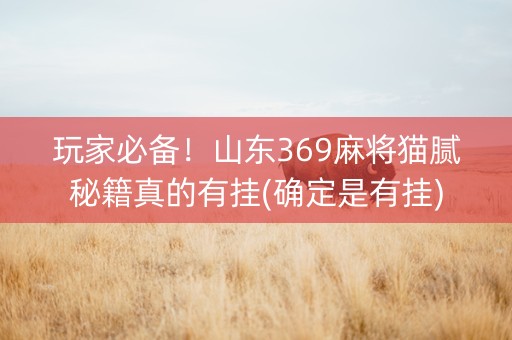 玩家必备！山东369麻将猫腻秘籍真的有挂(确定是有挂)