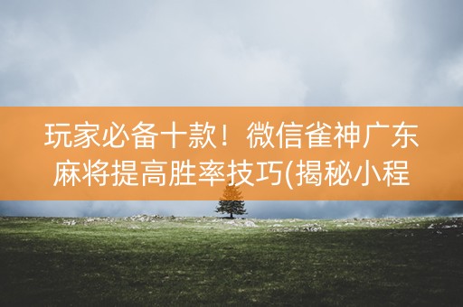 玩家必备十款！微信雀神广东麻将提高胜率技巧(揭秘小程序辅牌器)