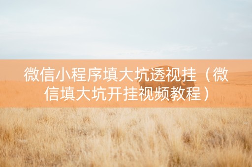 微信小程序填大坑透视挂（微信填大坑开挂视频教程）