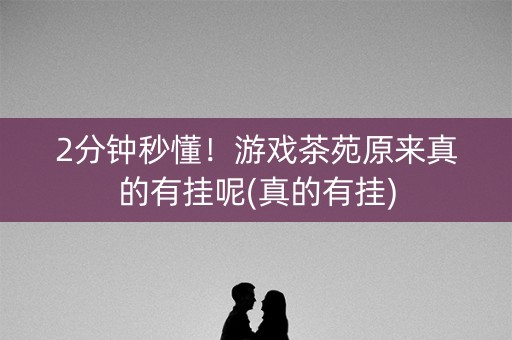 2分钟秒懂！游戏茶苑原来真的有挂呢(真的有挂)