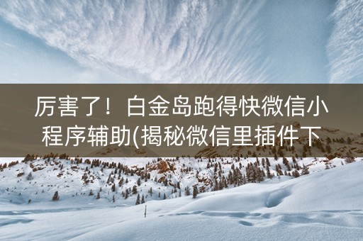 厉害了！白金岛跑得快微信小程序辅助(揭秘微信里插件下载)