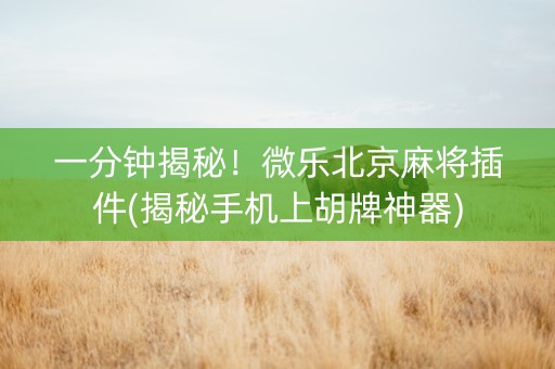 一分钟揭秘！微乐北京麻将插件(揭秘手机上胡牌神器)