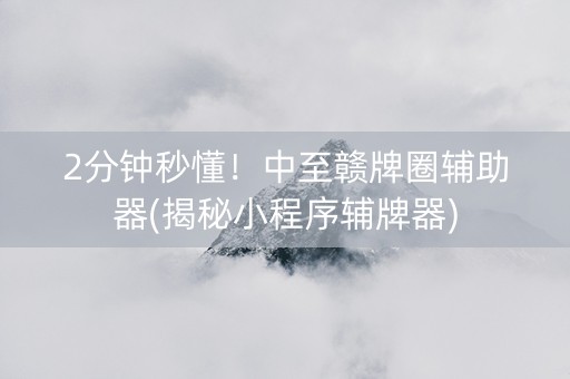 2分钟秒懂！中至赣牌圈辅助器(揭秘小程序辅牌器)