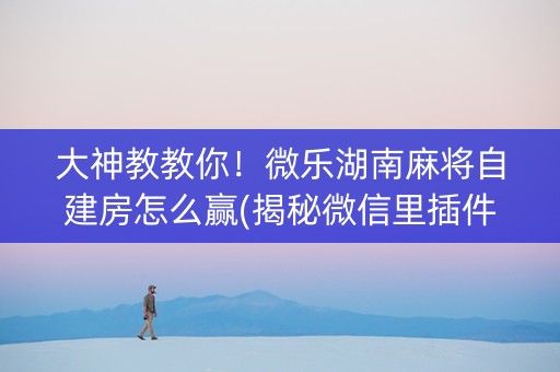 大神教教你！微乐湖南麻将自建房怎么赢(揭秘微信里插件购买)
