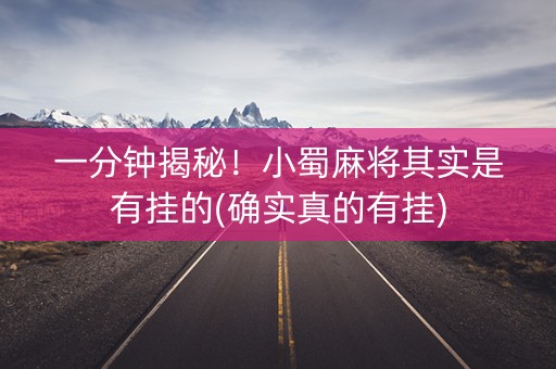 一分钟揭秘！小蜀麻将其实是有挂的(确实真的有挂)