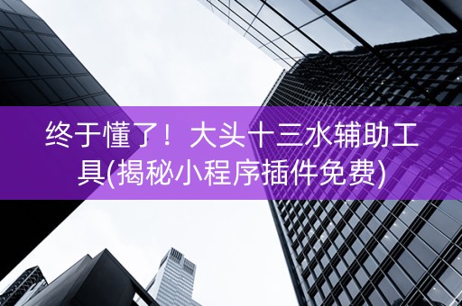 终于懂了！大头十三水辅助工具(揭秘小程序插件免费)