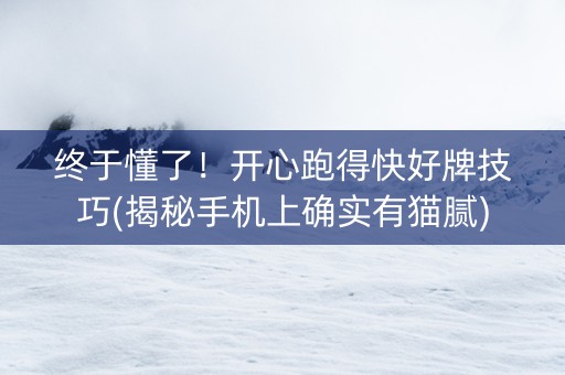 终于懂了！开心跑得快好牌技巧(揭秘手机上确实有猫腻)