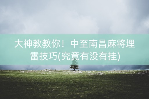 大神教教你！中至南昌麻将埋雷技巧(究竟有没有挂)