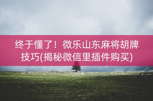 终于懂了！微乐山东麻将胡牌技巧(揭秘微信里插件购买)