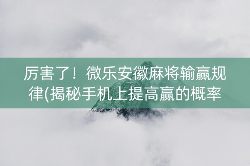 厉害了！微乐安徽麻将输赢规律(揭秘手机上提高赢的概率)