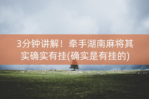 3分钟讲解！牵手湖南麻将其实确实有挂(确实是有挂的)