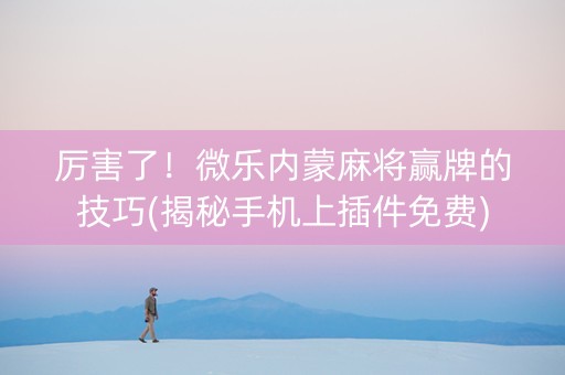 厉害了！微乐内蒙麻将赢牌的技巧(揭秘手机上插件免费)