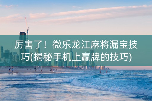 厉害了！微乐龙江麻将漏宝技巧(揭秘手机上赢牌的技巧)