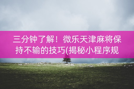 三分钟了解！微乐天津麻将保持不输的技巧(揭秘小程序规律攻略)