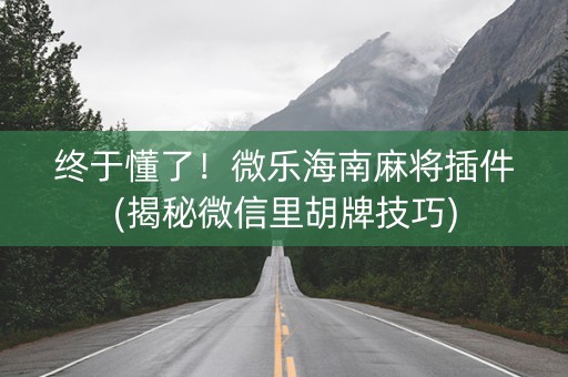 终于懂了！微乐海南麻将插件(揭秘微信里胡牌技巧)