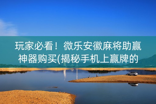 玩家必看！微乐安徽麻将助赢神器购买(揭秘手机上赢牌的技巧)