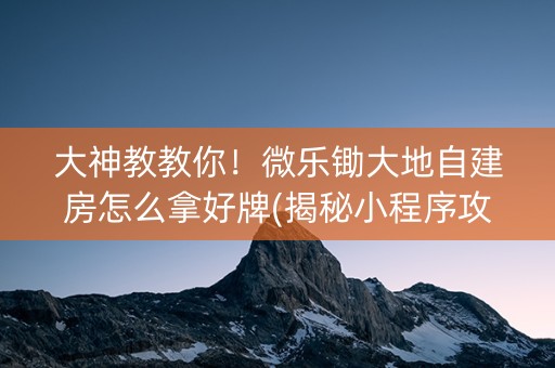 大神教教你！微乐锄大地自建房怎么拿好牌(揭秘小程序攻略插件)