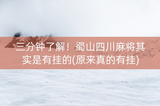 三分钟了解！蜀山四川麻将其实是有挂的(原来真的有挂)