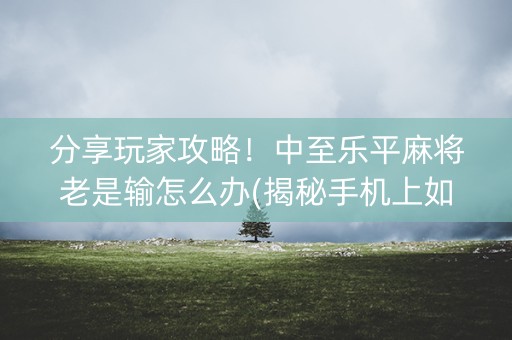 分享玩家攻略！中至乐平麻将老是输怎么办(揭秘手机上如何让牌变好)