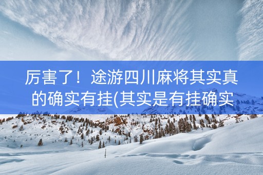 厉害了！途游四川麻将其实真的确实有挂(其实是有挂确实有挂)