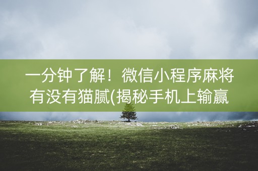 一分钟了解！微信小程序麻将有没有猫腻(揭秘手机上输赢技巧)