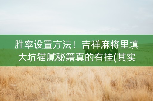 胜率设置方法！吉祥麻将里填大坑猫腻秘籍真的有挂(其实真的有挂)
