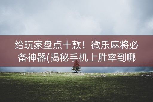 给玩家盘点十款！微乐麻将必备神器(揭秘手机上胜率到哪调)