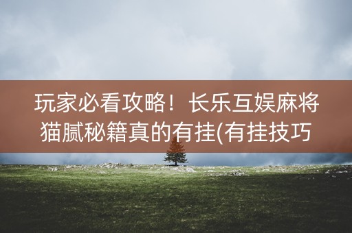 玩家必看攻略！长乐互娱麻将猫腻秘籍真的有挂(有挂技巧辅助器)