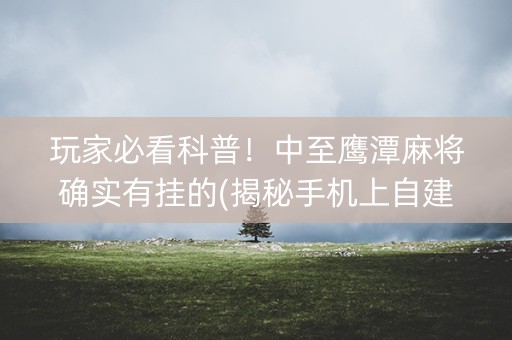 玩家必看科普！中至鹰潭麻将确实有挂的(揭秘手机上自建房怎么赢)