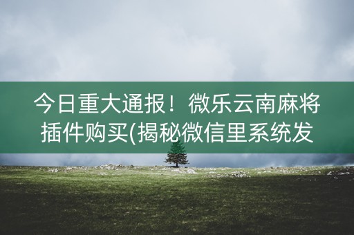 今日重大通报！微乐云南麻将插件购买(揭秘微信里系统发好牌)
