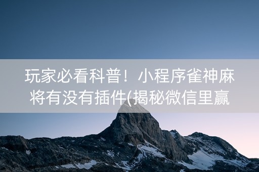 玩家必看科普！小程序雀神麻将有没有插件(揭秘微信里赢牌的技巧)