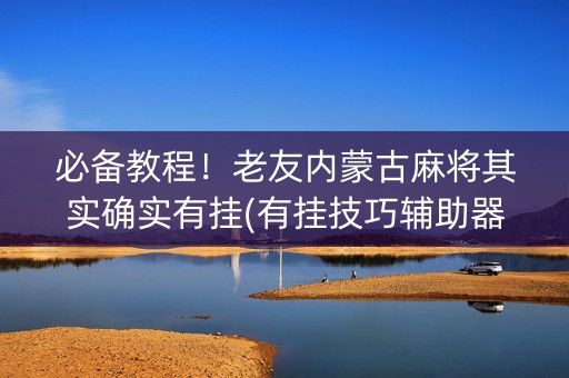 必备教程！老友内蒙古麻将其实确实有挂(有挂技巧辅助器)