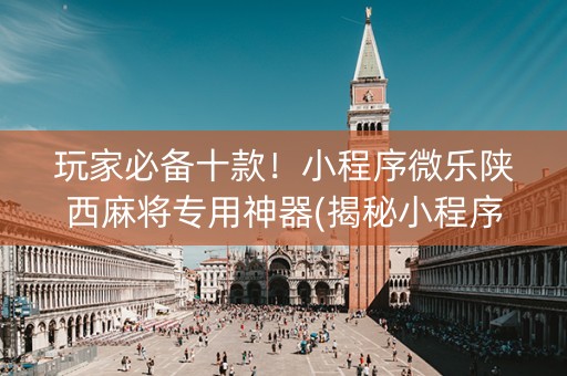 玩家必备十款！小程序微乐陕西麻将专用神器(揭秘小程序助赢神器)