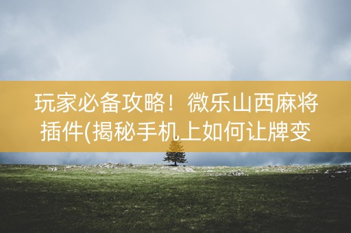 玩家必备攻略！微乐山西麻将插件(揭秘手机上如何让牌变好)