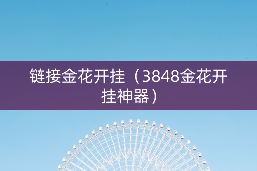 链接金花开挂（3848金花开挂神器）