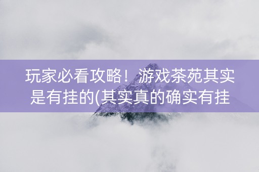 玩家必看攻略！游戏茶苑其实是有挂的(其实真的确实有挂)
