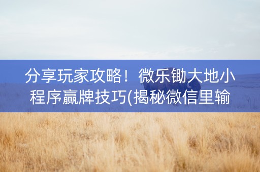 分享玩家攻略！微乐锄大地小程序赢牌技巧(揭秘微信里输赢规律)