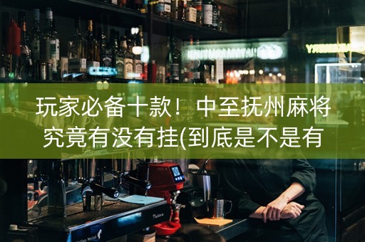 玩家必备十款！中至抚州麻将究竟有没有挂(到底是不是有挂)